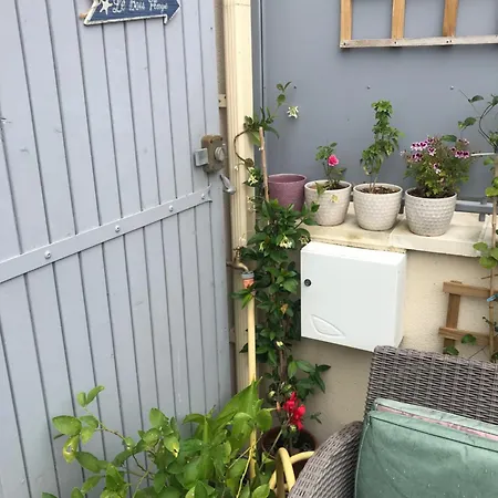 度假居 Pavillon 50 M² Avec Terrasse 沙特拉永普拉日