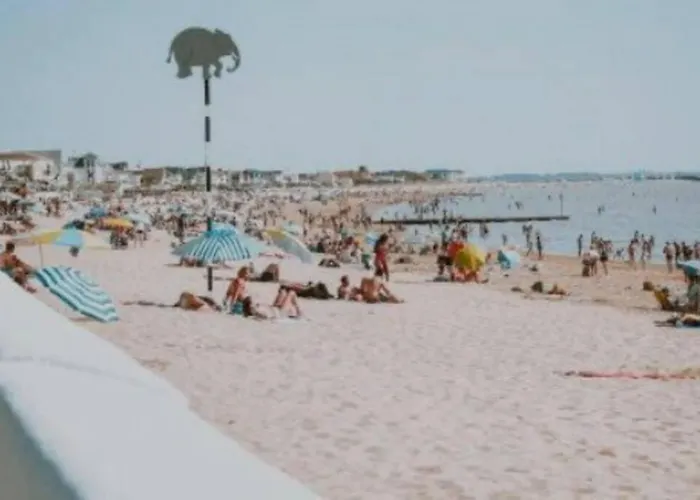 Pavillon 50 M² Avec Terrasse