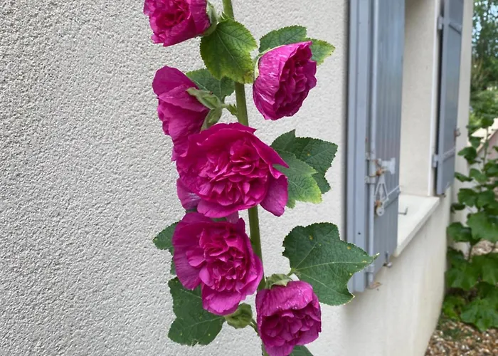 Pavillon 50 M² Avec Terrasse *